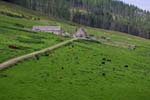 Cairngorms  National  Park 